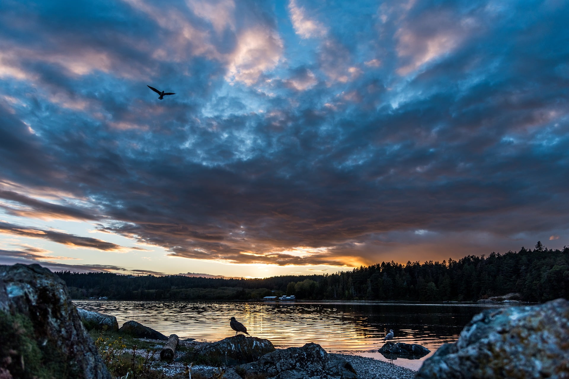 Dramatic BC coastal sunset — protecting what comes next